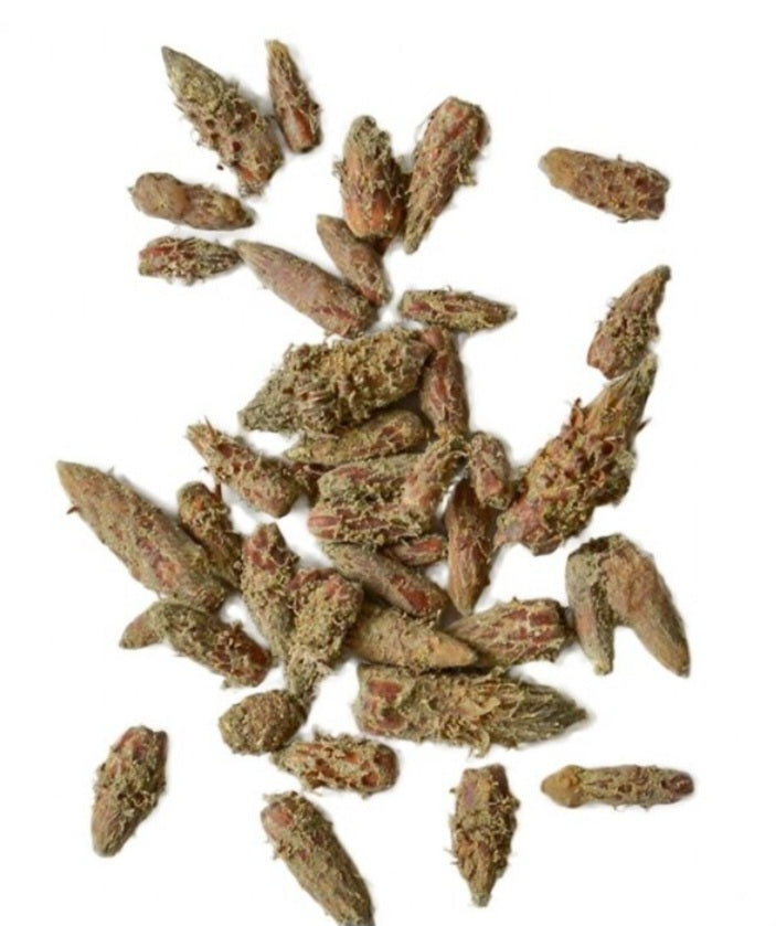 Pušų pumpurų arbata