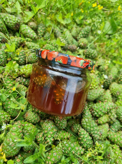 PINE CONE syrup