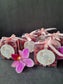 Mini Tea Bear Gifts