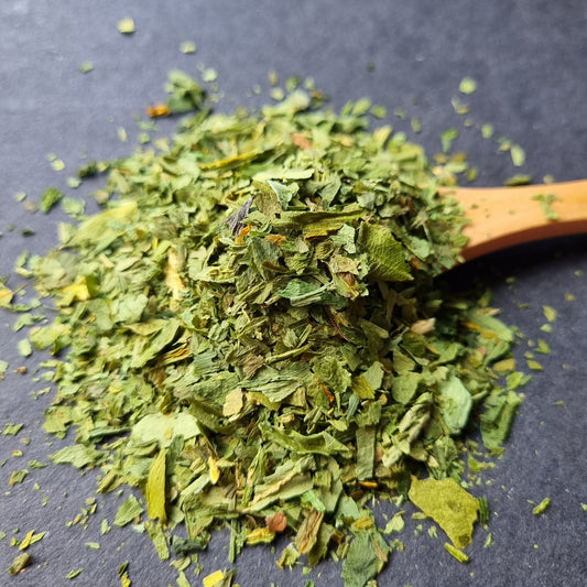 Prieskoniai "Meškinis česnakas"