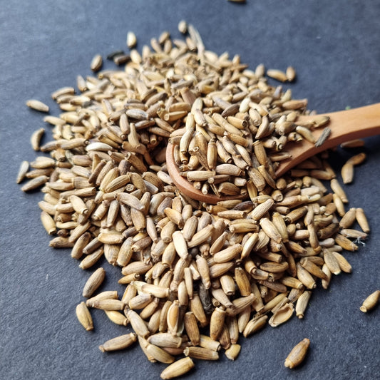 SEEDS OF MILK THISTLE, organic