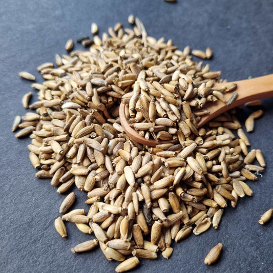 SEEDS OF MILK THISTLE, organic